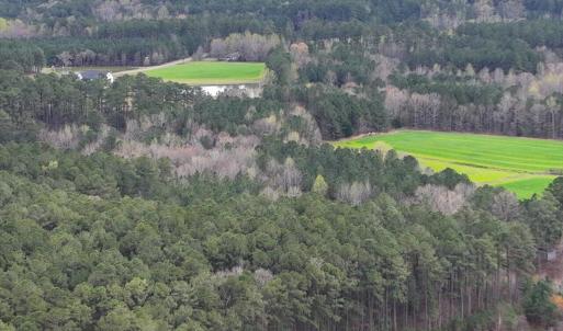 26-026-ChathamParcel-17926-20220325