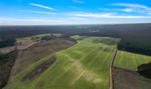 14-web-or-mls-DJI_0879