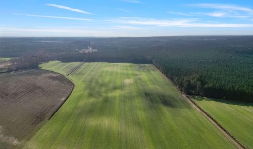 16-web-or-mls-DJI_0881