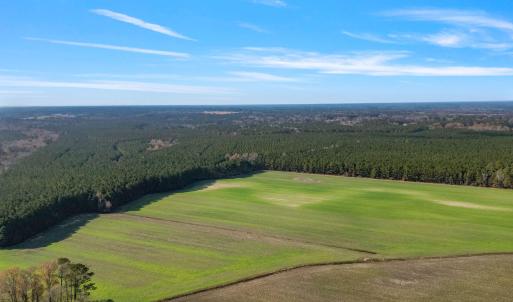 21-web-or-mls-DJI_0890