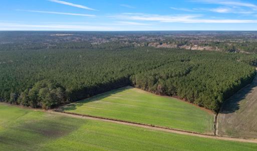 25-web-or-mls-DJI_0894