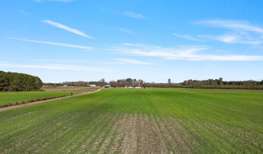 27-web-or-mls-DJI_0897