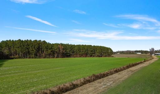 28-web-or-mls-DJI_0898