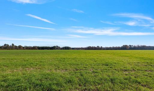 29-web-or-mls-P1331175