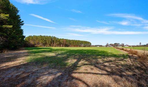 30-web-or-mls-P1331180