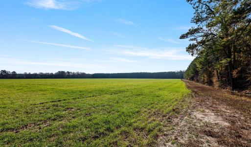 32-web-or-mls-P1331195