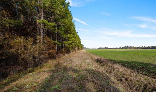 34-web-or-mls-P1331220