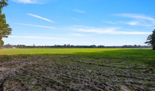 35-web-or-mls-P1331230