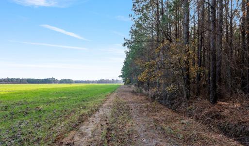 36-web-or-mls-P1331235