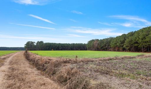 38-web-or-mls-P1331245