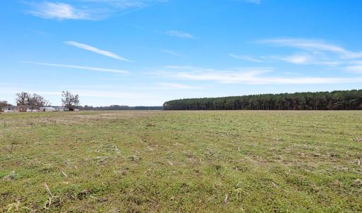 40-web-or-mls-P1331265