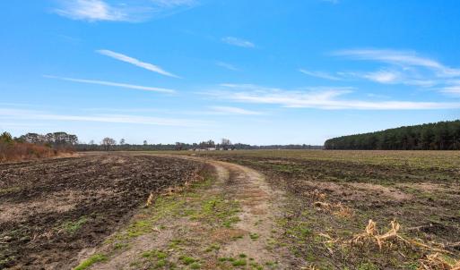 41-web-or-mls-P1331305