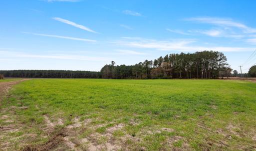 42-web-or-mls-P1331315