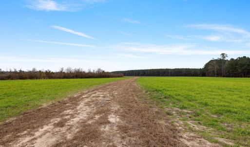 43-web-or-mls-P1331320