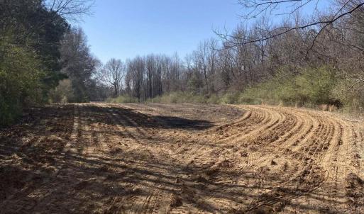 0 Oak Forest, Four Oaks- Pic 3