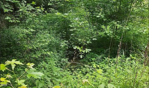 Screenshot 2024-11-04 at 9.32.51AM