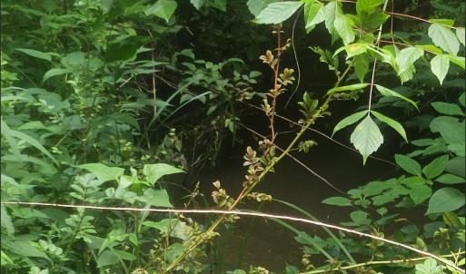 Screenshot 2024-11-04 at 9.32.41AM