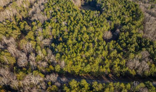 DJI_0352