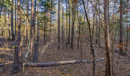 DSC08806-HDR