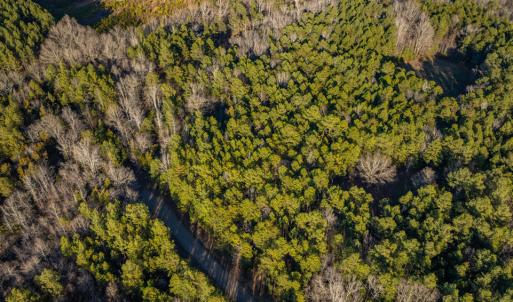 DJI_0351