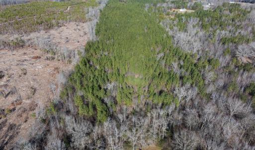 Chatham Co. NC 13.31-Wooten-14