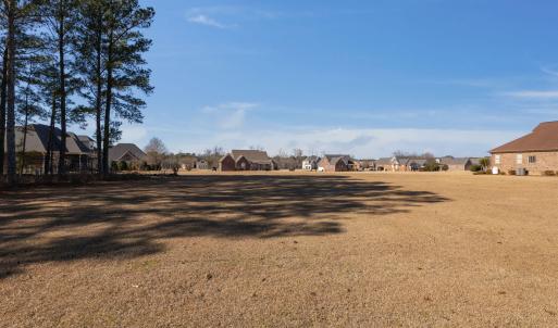 13-web-or-mls-P1402746