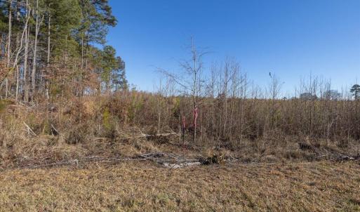 09-009-Chatham-Parcel-8664-Tract2-202501