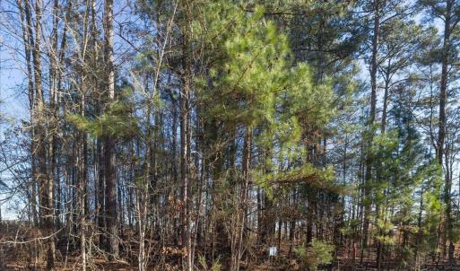 11-011-Chatham-Parcel-8664-Tract3-202501