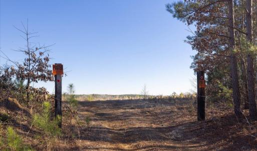 17-017-Chatham-Parcel-8664-Tract3-202501