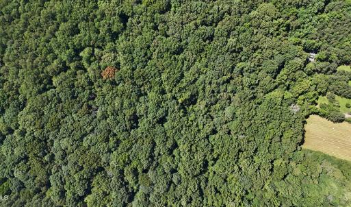 DJI_20250620110542_0089_D