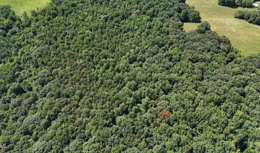 DJI_20250620110809_0096_D