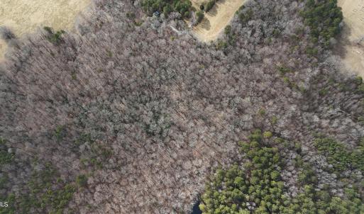 DJI_20250130130832_0081_D