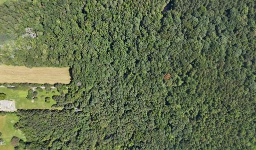 DJI_20250620110616_0090_D