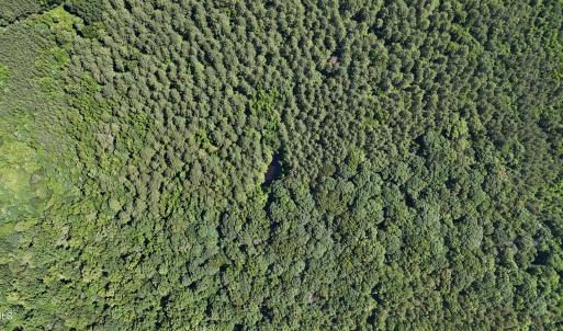 DJI_20250620110710_0094_D