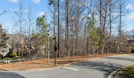 1-web-or-mls-DJI_0930