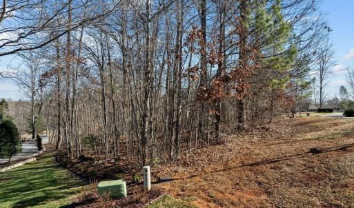 4-web-or-mls-DJI_0933