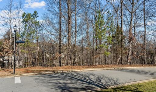 3-web-or-mls-DJI_0932