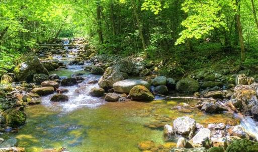 Dry Creek 2 2024-05-03 131453