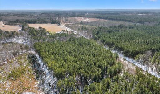 03-DJI_20250222101612_0122_D