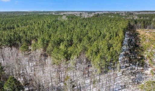 08-DJI_20250222101846_0137_D