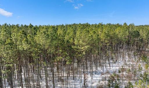 09-DJI_20250222101947_0140_D
