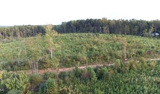 DJI_0033