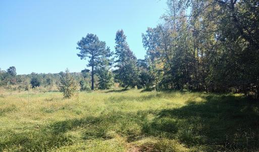 IMG_20241011_124635880_HDR
