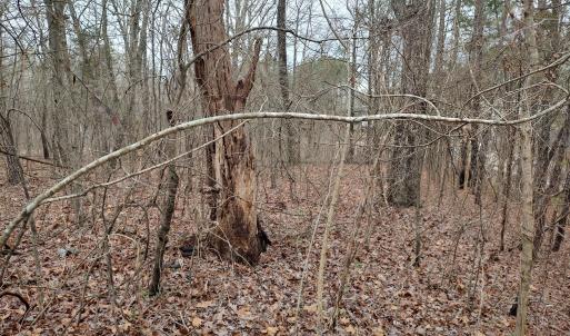 IMG_20250216_134022382_HDR