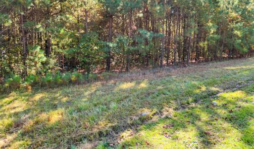 Tract 1A Abattoir Rd photo3