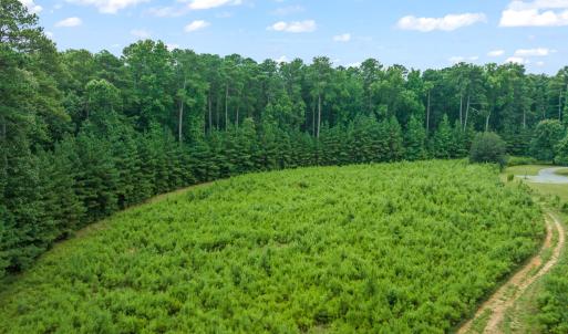 4-web-or-mls-untitled-4