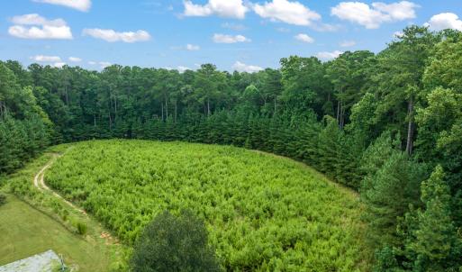 5-web-or-mls-untitled-5