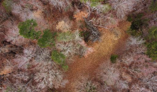 dji_fly_20250227_162242_246_174069167065