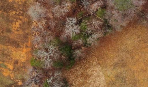 dji_fly_20250227_161942_241_174069166294