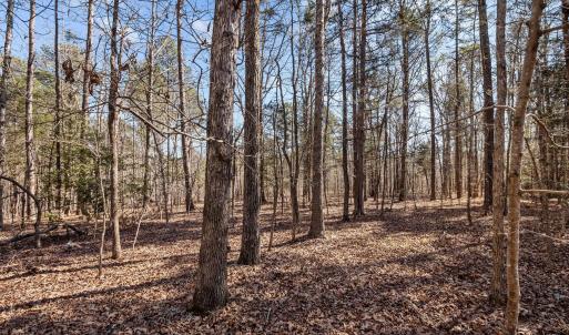 14-web-or-mls-P1023083